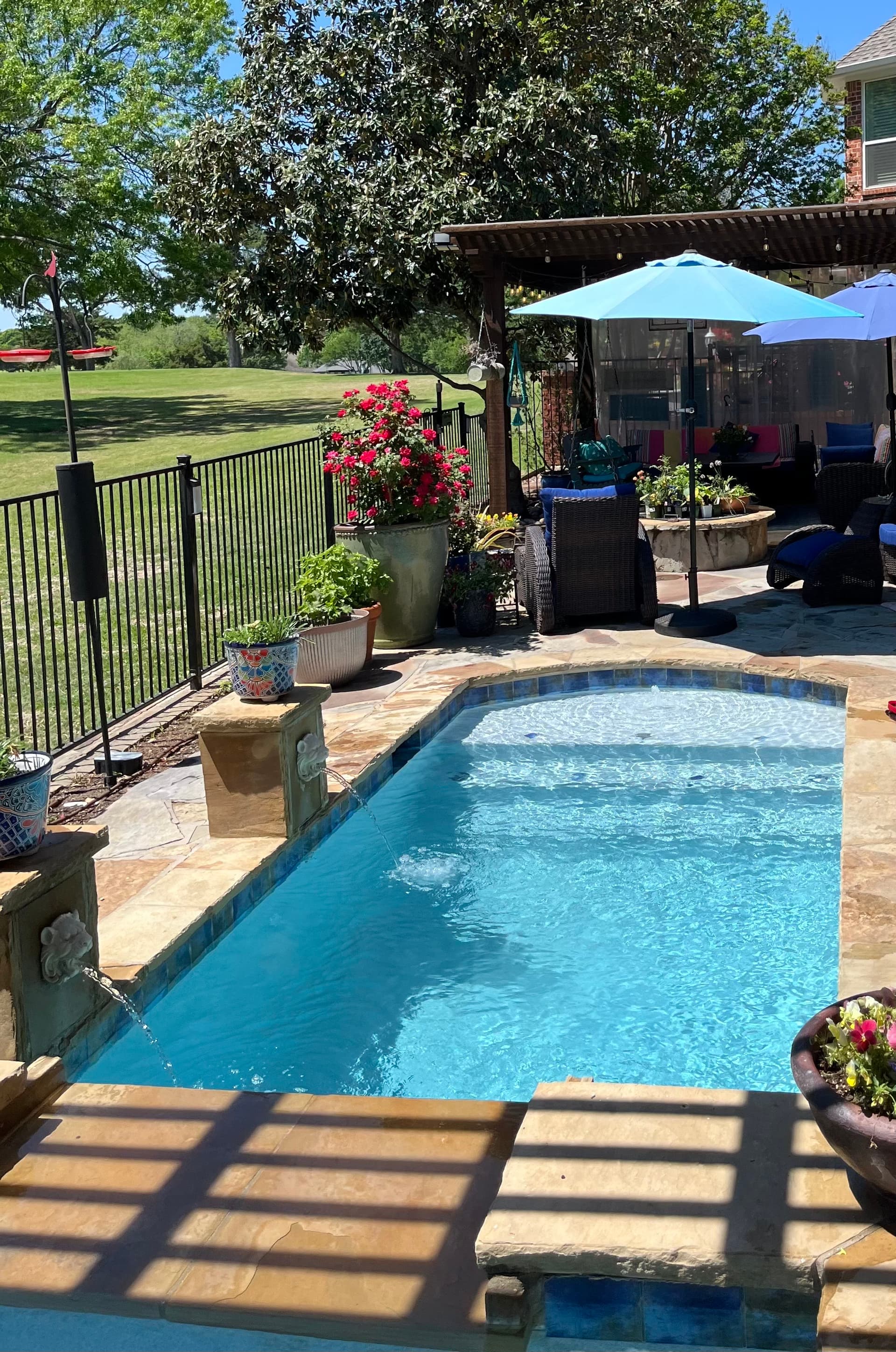 Amy M.'s pool result